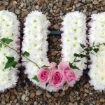 ####MUM white chrysanthemums and ivy joined rose posies (all colours) ribbon edging £125.00