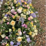 #### Luxury pastel coloured casket spray with garden roses and mixed flowers seasonal foliage
   4ft £245   5ft £325 (as shown)