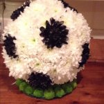 ### 3D Football £105