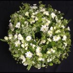 #### Casket Wreath in green and white (with seasonal flowers and foliage   16