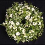 #### Casket Wreath in green and white (with seasonal flowers and foliage   16