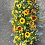 #### Sunflower casket spray 
small 3 ft £120        medium  4ft £170       large 5ft £220