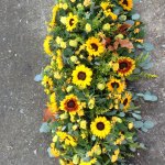 #### Sunflower casket spray   4ft/ 5ft  £220