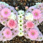 ####Small butterfly  27cm x 33cm £65
