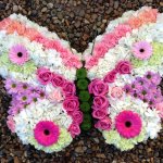 ####Large Butterfly  58cm x 44cm £125