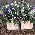 #### Blue and white Casket Spray with loose country flowers to include delphiniums and mixed foliage    
    4ft £190      5ft £240  (as shown)