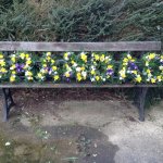 ####GRANDAD spring flowers £260